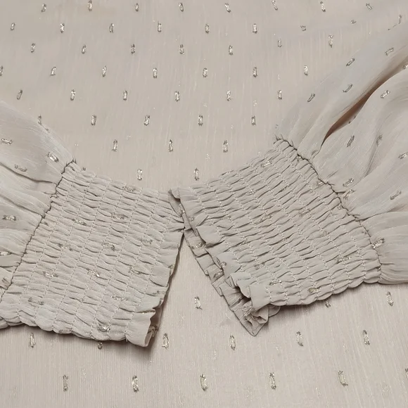 Express Women's Top Blouse Tan Cowl Neck Elastic Cuff Sheer Size L - Picture 5 of 8